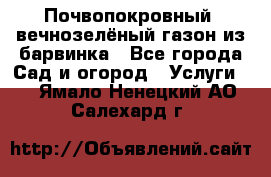 Почвопокровный, вечнозелёный газон из барвинка - Все города Сад и огород » Услуги   . Ямало-Ненецкий АО,Салехард г.